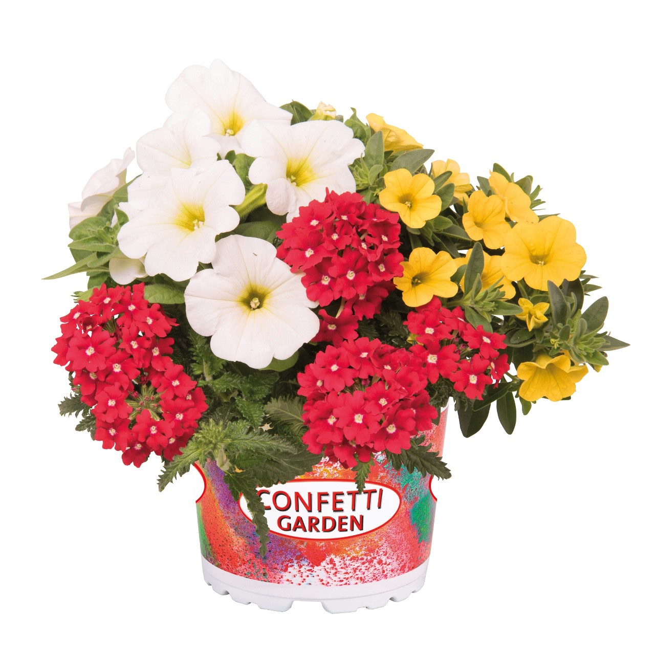 3er-Mix Confetti Garten 'That´s Love' 12 cm Topf