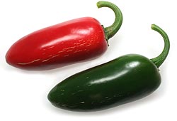 Jalapeno 'Japo' 12 cm Topf