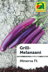 Grill-Melanzani "Minerva" 12 cm Topf